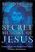 The Secret Message of Jesus: Uncovering the Truth That Could Change Everything