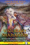 Visionary Shamanism: Activating the Imaginal Cells of the Human Energy Field