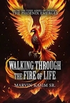 Walking Through the Fire of Life: From The Fiery Ashes of Despair, The Phoenix Emerges