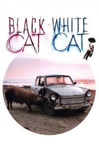 Black Cat, White Cat