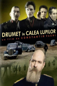 Drumet in Calea Lupilor
