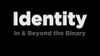 Identity: In and Beyond the Binary