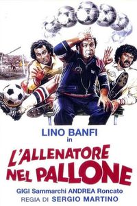 L'allenatore nel pallone