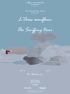 The Sniffing Bear