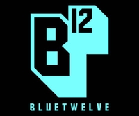 BlueTwelve Studio