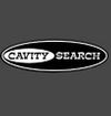 Cavity Search