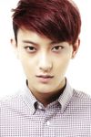 Huang Zitao