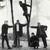 The Sonics