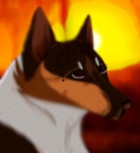 Реймаалиша Кисторфенов