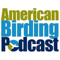 03-03: Birding and the Border Wall with Tiffany Kersten