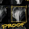 Introducing Proof from America's Test Kitchen