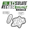 The APsolute Recap: Biology Edition - Surface Area to Volume Ratio