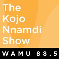 The Kojo Nnamdi Show