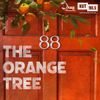 The Orange Tree