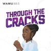 Introducing Through The Cracks