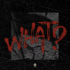 What? - Extended Version