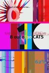 8 out of 10 Cats