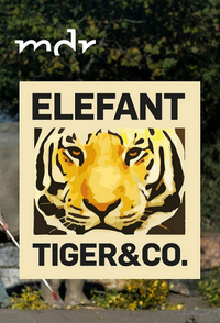 Elefant, Tiger & Co.