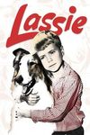 Lassie's Ordeal