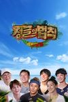 Law of the Jungle