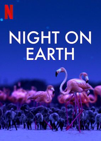 Night on Earth