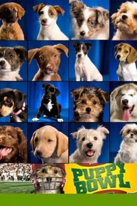 Puppy Bowl