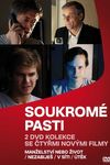 Soukromé pasti