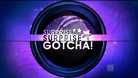 Surprise Surprise Gotcha