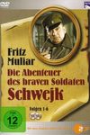 The Adventures of the Good Soldier Schwejk