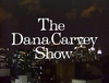 The Dana Carvey Show