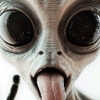 UglyMofo71